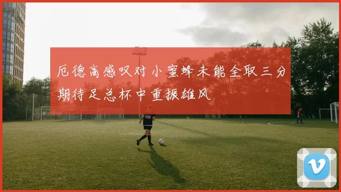 厄德高感叹对小蜜蜂未能全取三分期待足总杯中重振雄风